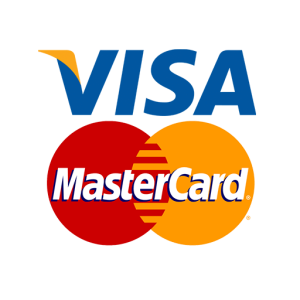visa payment  india