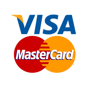 visa payment  india